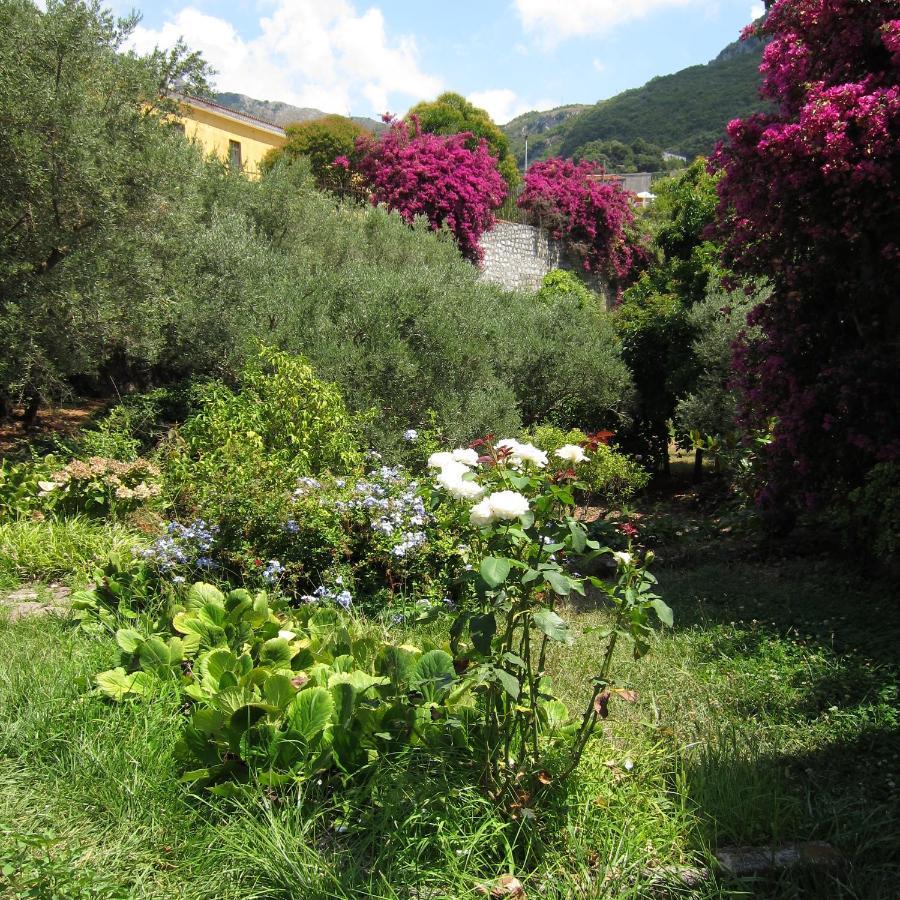 Casa Puccini B&B Maratea Ngoại thất bức ảnh