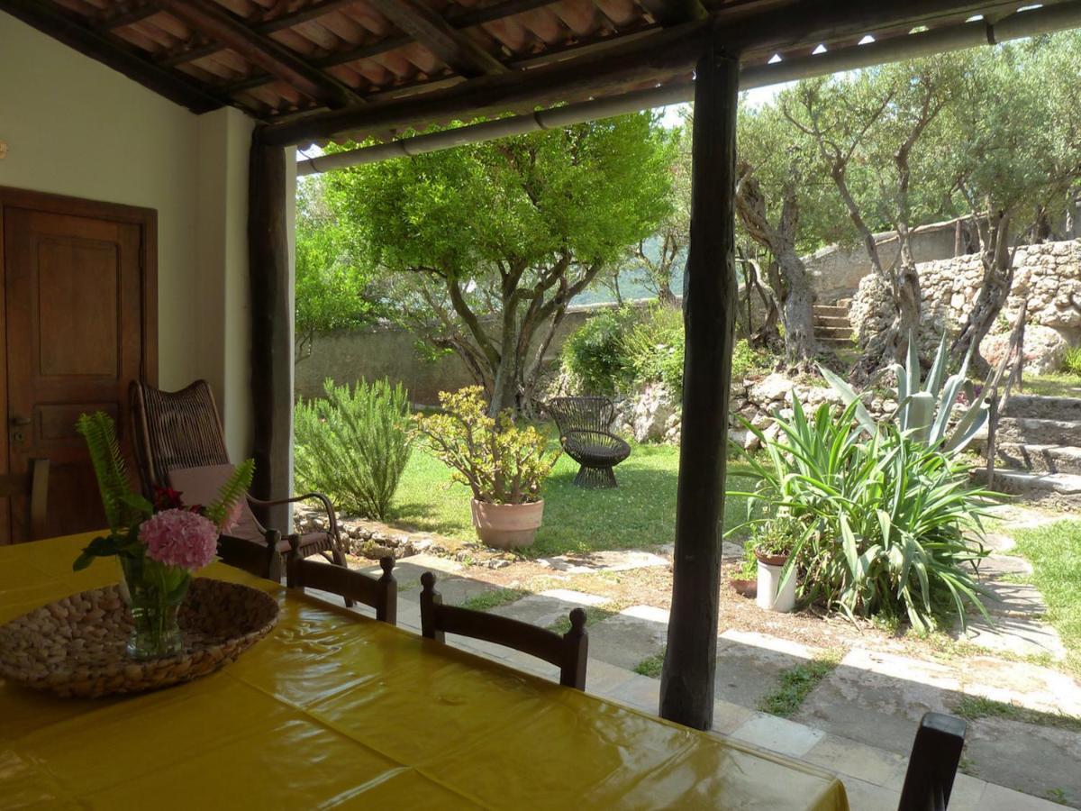 Casa Puccini B&B Maratea Ngoại thất bức ảnh